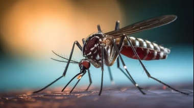 Brote histórico de dengue en Argentina: Ya son los 106 muertos y se registran más de 151 mil casos